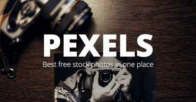Pexels: Best Free Stock Photos in One Place